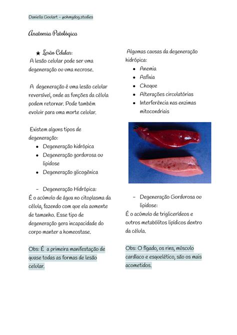 SOLUTION Anatomia Patol Gica Aula 3 Studypool