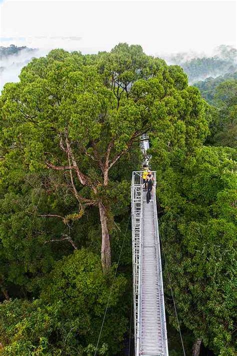 Living in Brunei | Story | Hero Traveler