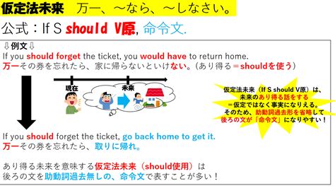 【3分イラストでわかる 仮定法未来】 大学入試・英検・toeic問題も