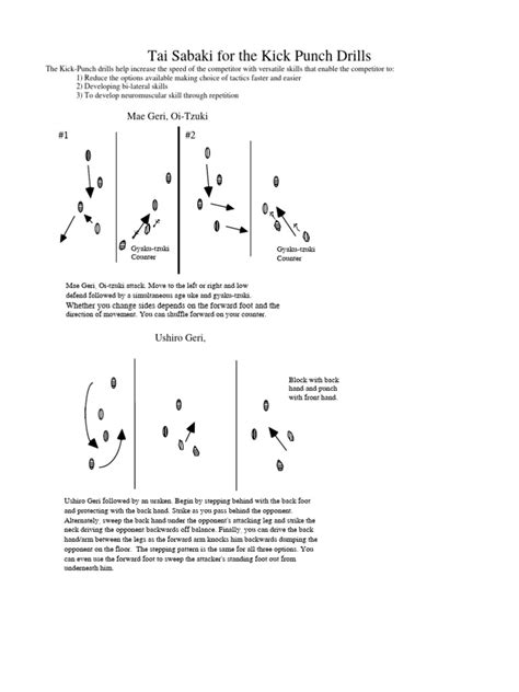 Tai Sabaki for the Kick Punch Drills | PDF