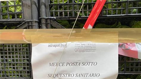 Intossicati A Napoli Non Era Mandragora Tra Gli Spinaci Cera Dello