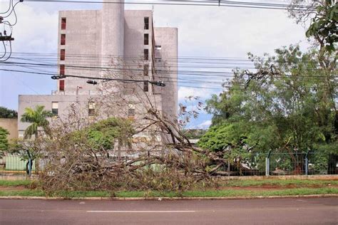 Árvore cai e destrói parte da grade do Hospital Regional Capital