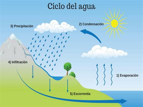 Componentes Funcionales Del Ecosistema Hot Sex Picture