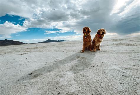 Bonneville Salt Flats Blm Camping Wendover Utah
