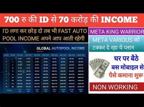 Crore Auto Pool Income Meta King Warrior Plan Non Working Mlm