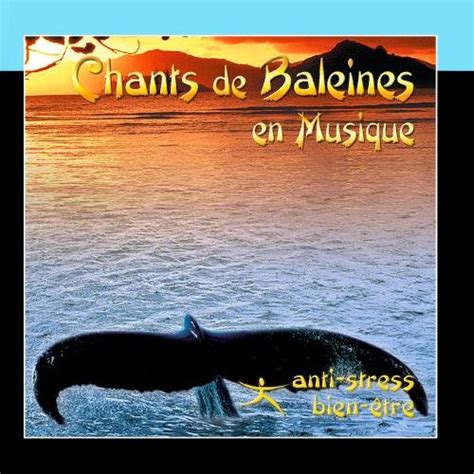 Dominique Bouvier Chants De Baleines En Musique Amazon Music