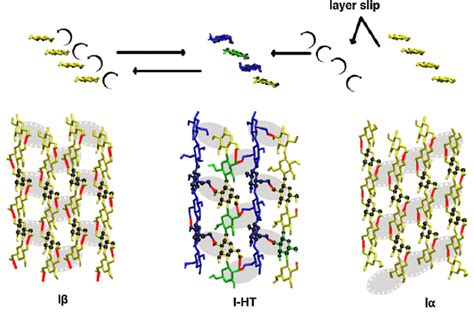 Chains From Four Neighboring Layers Of Cellulose Ib I Ht And Ia Two