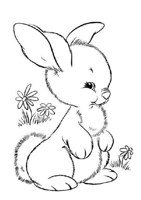 Coelhos Para Pintar