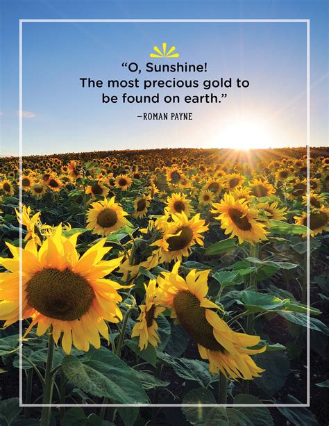 Quotes About Sunshine