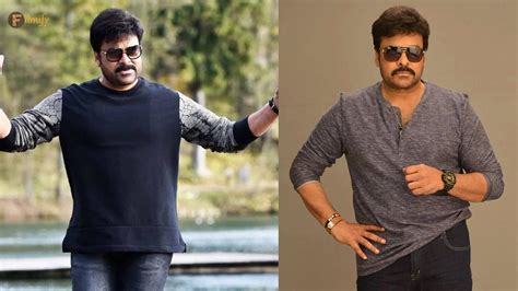 Incredible Compilation of 999+ Chiru Images in Stunning 4K Resolution