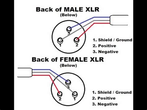 Xlr Socket Pin 1