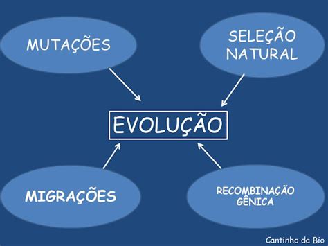 Teoria Sintetica Da Evoluçao - Cantinho da Bio: EVOLUÇÃO: TEORIA SINTÉTICA