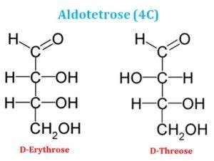 Monosaccharides Short Lecture Notes | EasyBiologyClass