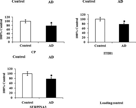 Validation Of Differentially Expressed Proteins By Western Blot Download Scientific Diagram