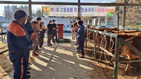 함양군 고등혈통 우량 한우 나눔 행사 실시 연합뉴스