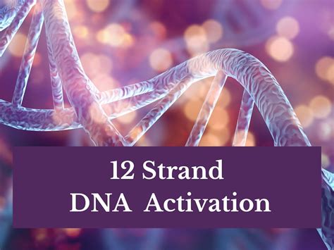 12 Strand DNA Activation - Etsy