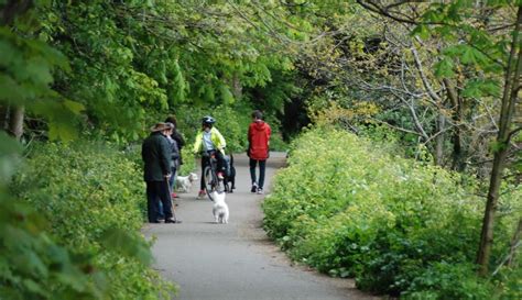 Dodder — why change this -- IrishCycle.com