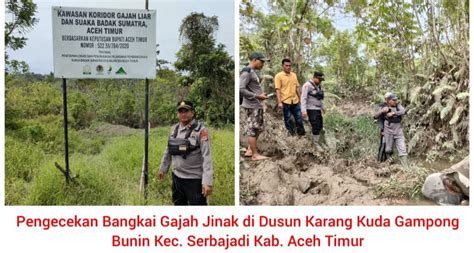 Gajah Jinak Ditemukan Mati Di Lahan Milik CRU Di Aceh Timur