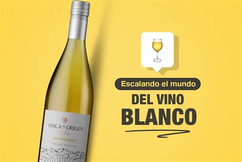 Vino Blanco Escalando Juntos Y Aprendamos De Este Maravilloso Mundo