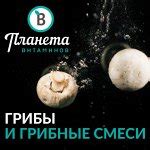 Грибы белые, ЕД, Планета Витаминов, 300 г | Грибы Планета Витаминов ...