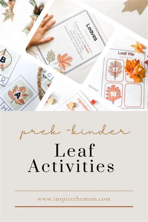 Fall Leaves Activities for Preschool and Kindergarten | Alphabet ...