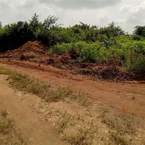 Affordable Plot Of Land For Sale Behind Cannaland Ota Properties