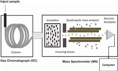 Download 28 Schematic Diagram Gas Chromatography Mass Spectrometry