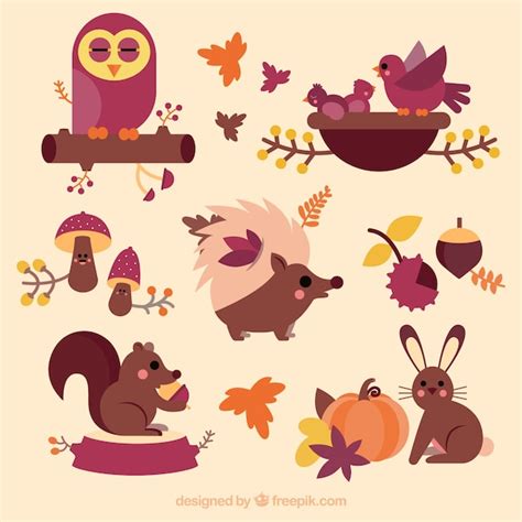 Colección de animales del bosque Vector Gratis