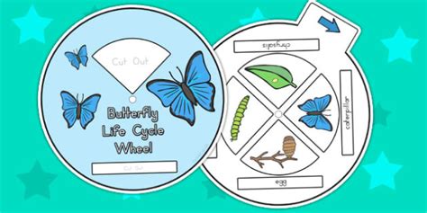 Butterfly Life Cycle Wheel Printable