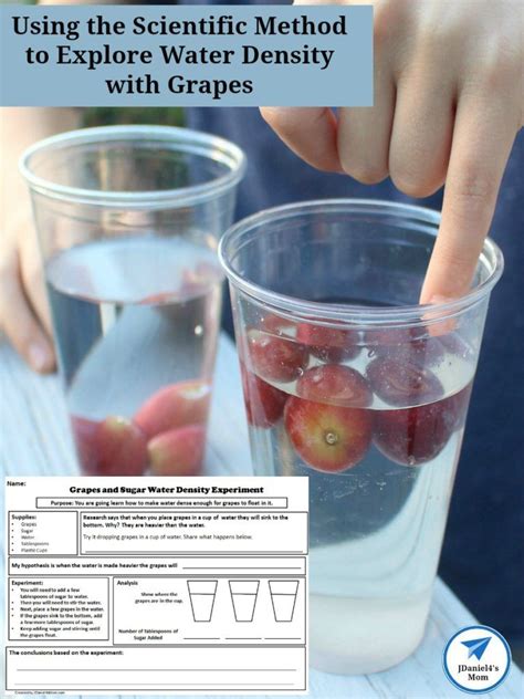 Lab Ideas For Teaching Density Artofit