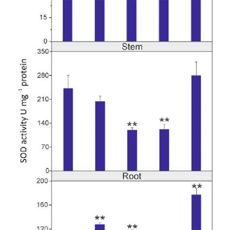 Changes Of Sod Activity U Mg Protein In Leaves Stems And Roots Of