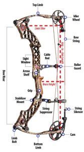 Top 10 Best Mathews Bows 2023 Review - New Edition for Hunting and Sports