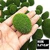 Woohome Pcs Size Artificial Moss Rocks Decorative Green Moss