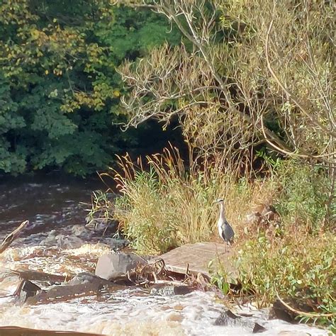 New laws will carry the name dunnigan 24