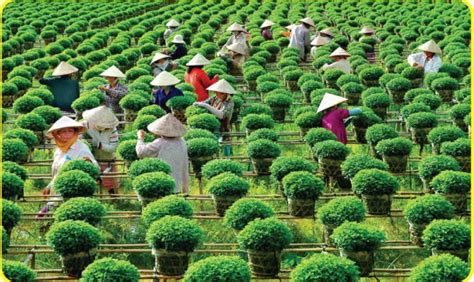 Vietnam Business Forum Of Vietnam Chamber Of Commerce And Industry