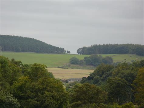 Chesters – Airminded