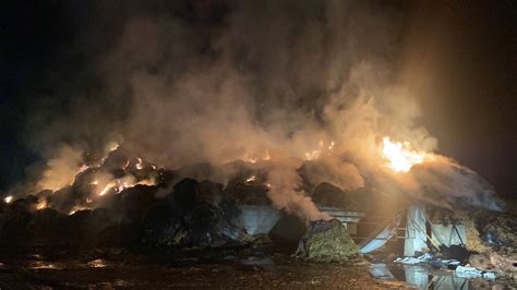 Settimo Importante Incendio In Strada Cebrosa Prima Settimo