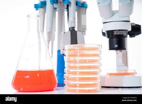 Microbiology laboratory equipment Stock Photo - Alamy