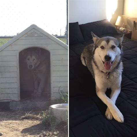 My little girl when I first met her, and less than a year later in our