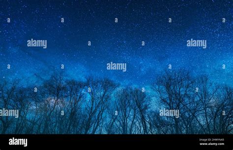 night stars sky and forest Stock Photo - Alamy