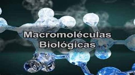 Tipos de Macromoléculas Biológicas Biologia Top