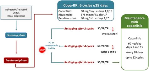 Copanlisib In Combination With Rituximabbendamustine In Patients With