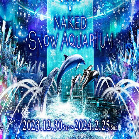 雪や氷オーロラ映像とイルカなど生きものたちの共演NAKED SNOW AQUARIUM開催冬景色が広がる幻想的な海の世界へ