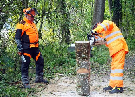 Richtiger Umgang mit der Motorsäge 19 Feuerwehrdienstleistende