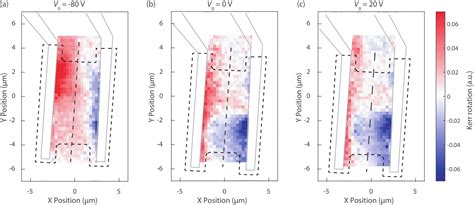 Gate Tunable Spatial Accumulation Of Valley Spin In Chemical Vapor