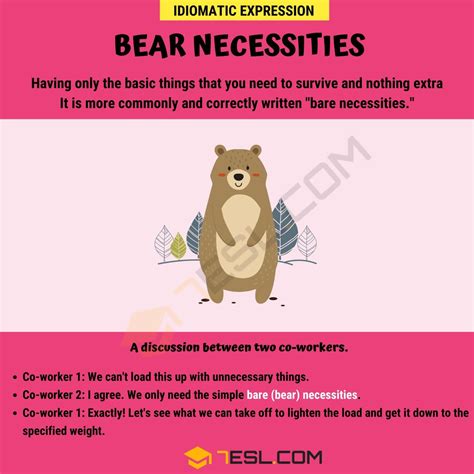 Bear Necessities Meaning Origin And Examples • 7esl