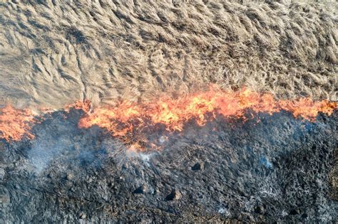 Premium Photo Aerial View Of Grassland Field Burning With Red Fire During Dry Season Natural