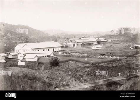 Fotografía del siglo XIX vintage La imagen se relaciona con el primer