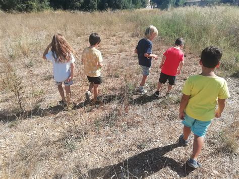 SORTIDES PER LENTORN Escola De Sant Esteve De Guialbes