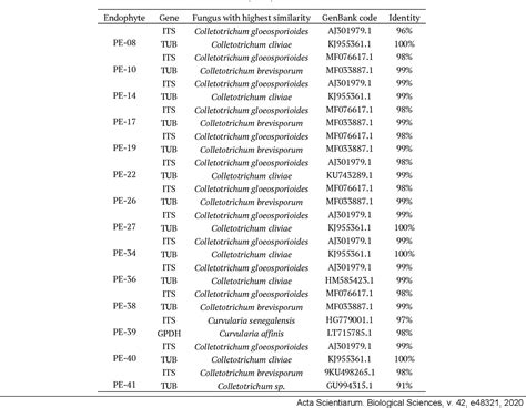 Table From Bioprospection And Molecular Phylogeny Of Culturable